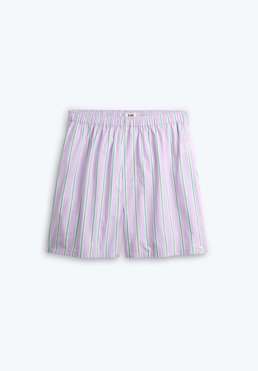 Gus Boxer in Green & Lavender Stripe