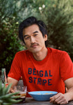 Jackson T-Shirt in Bengal Stripe