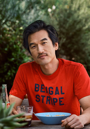 Jackson T-Shirt in Bengal Stripe