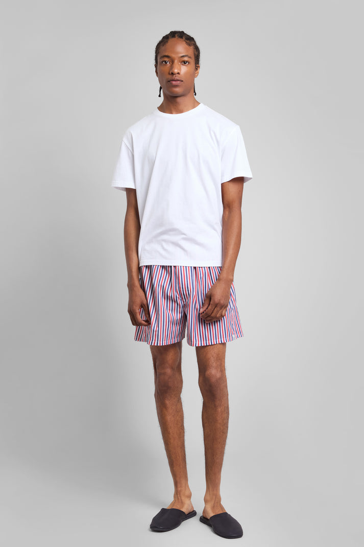 Gus Boxer in Red & Blue Multistripe