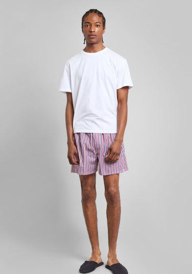 Gus Boxer in Red & Blue Multistripe