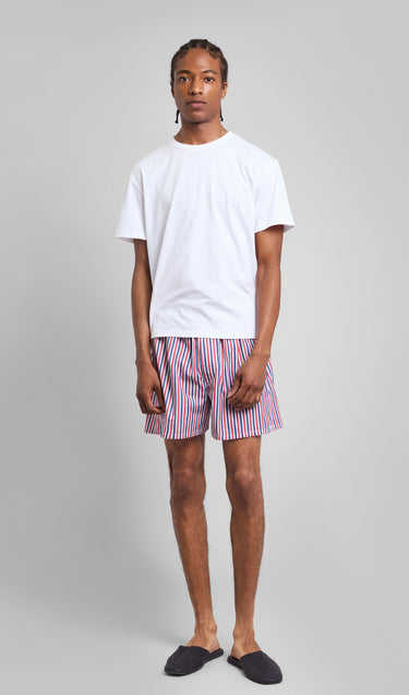 Gus Boxer in Red & Blue Multistripe